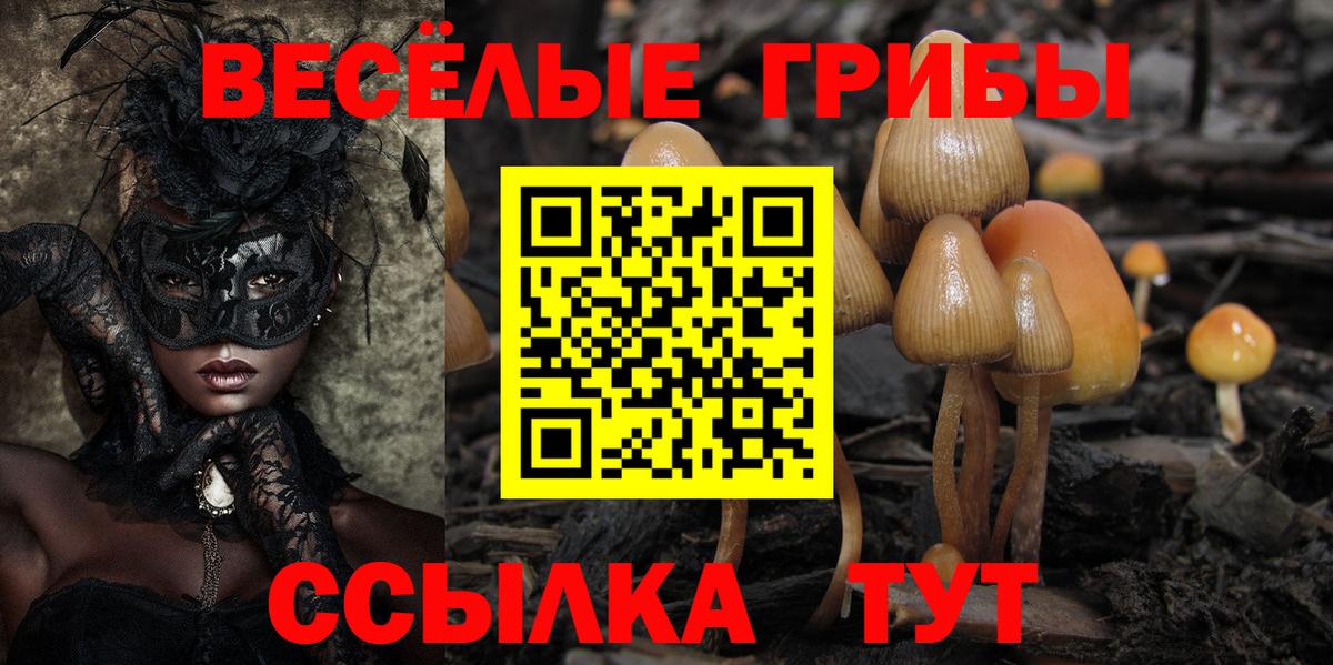 Псилоцибиновые грибы GOLDEN TEACHER  Псилоцибиновые грибы мицелий  Вход с VPN  Ревда 