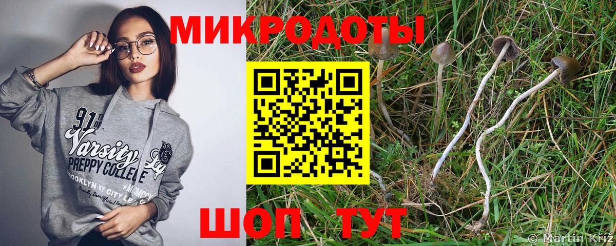 Псилоцибиновые грибы прущие грибы Ревда